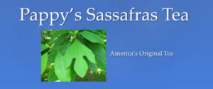 Pappy's Sassafras Tea